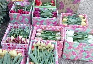 Никитский ботсад подарил тюльпаны медикам Крыма