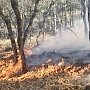 Пожарные потушили горящую лесополосу в Скалистом