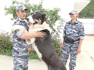 Полицейские собаки на заслуженном отдыхе: в Севастополе сотрудники Центра кинологической службы УМВД рассказали о жизни своих питомцев