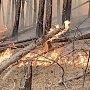 157 населенных пунктов Крыма вошли с перечень подверженных угрозе лесных пожаров