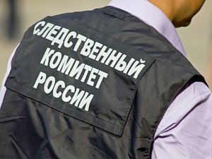 Следком РФ займется расследованием пранков на дистанционном обучении