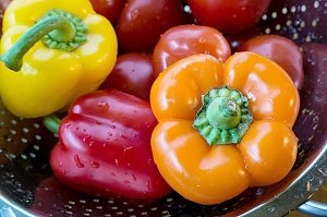 В Крыму собрали 1 572 тонны овощей из теплиц