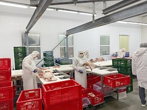 В Крыму существенно увеличили производство продуктов питания