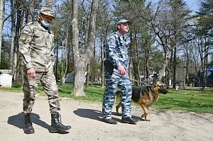 Полицейские за сутки выявили 9 детей, нарушивших режим самоизоляции