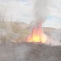 В Щебетовке поймали парней, чей костер привел к лесному пожару