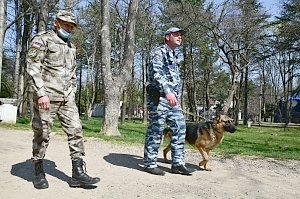 Полицейские в Крыму за сутки не выявили нарушений предписаний Роспотребнадзора