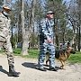 Полицейские в Крыму за сутки не выявили нарушений предписаний Роспотребнадзора