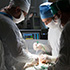 3D-технологии активно применяются хирургами КММЦ Святителя Луки
