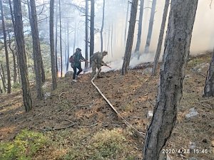 Над Ялтой локализовали лесной пожар