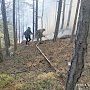 Над Ялтой локализовали лесной пожар