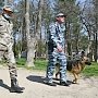 Полиция Крыма ищет 37 человек, указавших недостоверные сведения в анкетах для приезжих