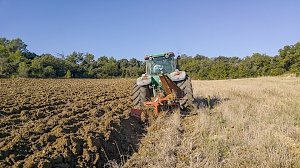 Минимущество Крыма предоставит в аренду поле в Сакском районе