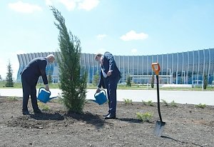 Ко Дню Победы в аэропорту Симферополь высадили больше 200 деревьев и кустарников