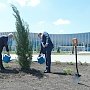 Ко Дню Победы в аэропорту Симферополь высадили больше 200 деревьев и кустарников