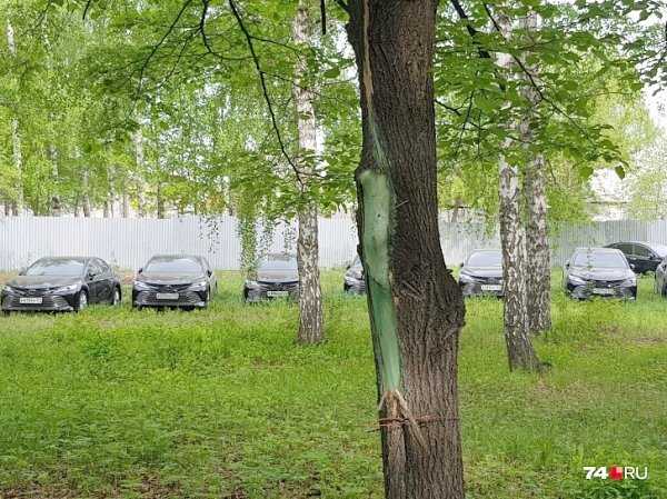 В лесу под Челябинском обнаружили 50 спрятанных новых чиновничьих иномарок