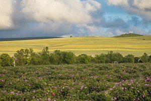 Завтра в Крым придёт летняя жара