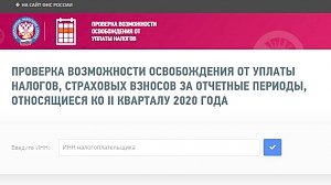 Налоговая запустила сервис, разъясняющий пострадавшему бизнесу правила списания налогов