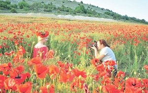 Как самозанятые крымчане могут уменьшить налог