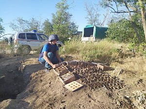 В Ленинском районе нашли свыше 200 взрывателей к авиабомбам