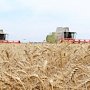 В Крыму собрана половина урожая зерновых!