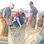 «Крымская газета» вышла в море с рыбаками