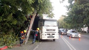 В столице Крыма на «КАМАЗ» рухнуло дерево, заблокировав движение на ул. Маяковского
