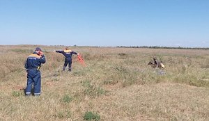 В Черноморском районе спасатели вытащили собаку из 11-метрового колодца