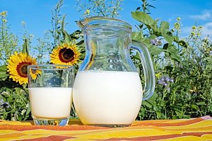 Крымские бурёнки дают больше всего молока в ЮФО