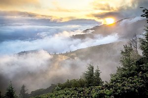 Дожди и туманы ожидаются в Крыму в начале недели