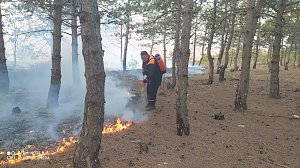 Между пгт. Орджоникидзе и Феодосией ликвидировали возгорание лесной подстилки