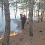 Между пгт. Орджоникидзе и Феодосией ликвидировали возгорание лесной подстилки