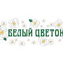 На акции «Белый цветок» в Керчи собрали почти 2 млн рублей