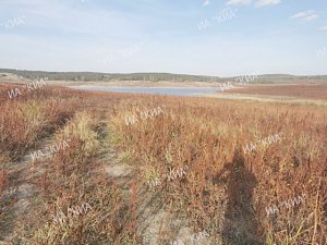 Учёные рассказали о состоянии водохранилищ и рек Крыма
