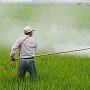 Аграриев в Ленинском районе, бесконтрольно использовавших пестициды, наказали штрафом на полмиллиона рублей