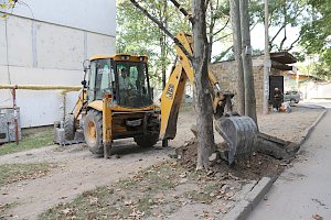 В Симферополе сообщили, как проходят работы по благоустройству дворов