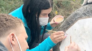 Как крымчане учатся на волонтеров в сфере сохранения культурного наследия
