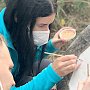 Как крымчане учатся на волонтеров в сфере сохранения культурного наследия