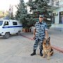 В Керчи полицейский-кинолог задержал вооруженного ножом грабителя