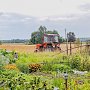 Госкомрегистр помешал превратить сельхозземли в Нижнегорском районе в дачный массив
