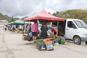 На сельхоз ярмарках в столице Крыма цены на 23% ниже рыночных