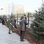 Начальник УМВД России по г. Севастополю Павел Гищенко принял участие в высадке деревьев на площади Восставших