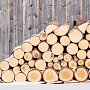 Крымчане имеют возможность нарубить дрова для отопления, — Минприроды РК