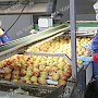 Более 1 млрд рублей вложил инвестор в возведение фруктохранилища в Крыму, — Кивико