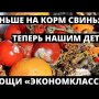 Свежая реформа Путинского режима! Картофель экономкласса! Раньше свиньям - теперь детям