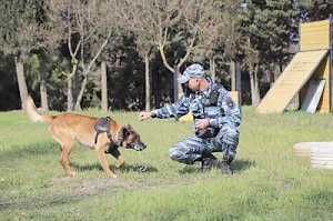 В Севастополе журналисты участвовали в тренировке полицейских собак