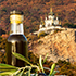 КФУ в первый раз представит бренд «Крымская оливка» на национальном конкурсе
