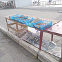 Участковые уполномоченные полиции пресекли незаконную реализацию рыбы и морепродуктов на набережной парка «Учкуевка»