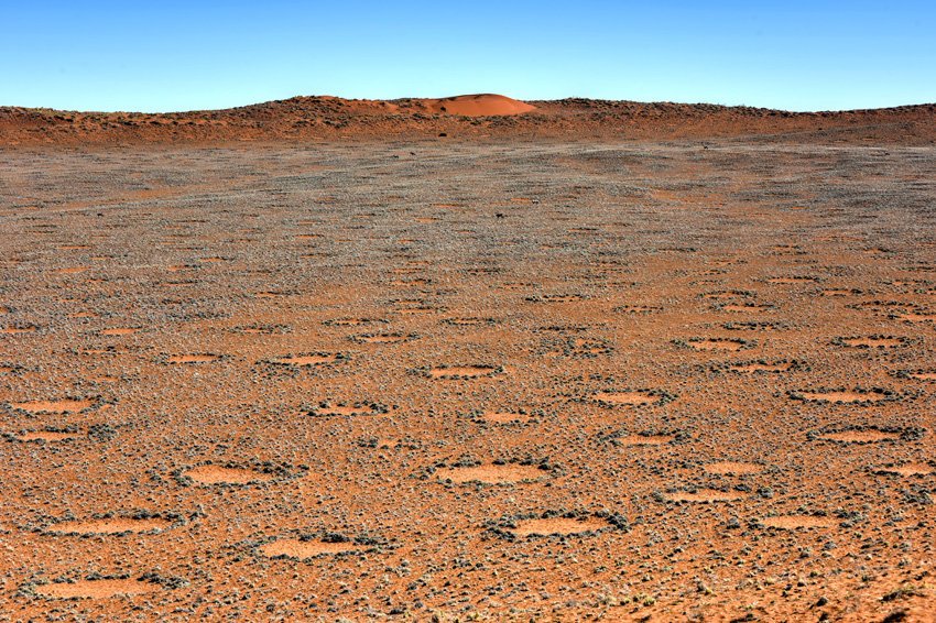 Ведьмины круги в пустыне Намиб