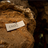 Учёные нашли целиком сохранившийся череп гигантской гиены в пещере «Таврида»