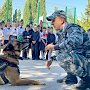 Полицейский пёс по кличке Тор побывал в гостях у севастопольских кадет органов внутренних дел